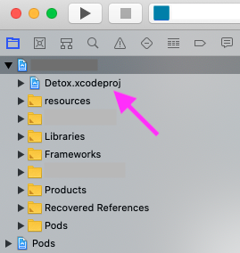 Detox inside Xcode project